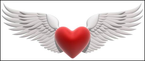 A FAN'S HEART