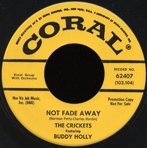 Image result for not fade away buddy holly