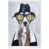 Buddy Holly Greyhound, seen on Coco de Paris