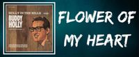 FLOWER OF MY HEART - BUDDY HOLLY
