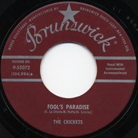 FOOL'ÄS PARADISE - THE CRICKETS