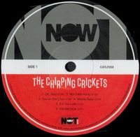 The_Chirping_Crickets NOT NOW MUSIC LTD. CATLP258 UK 2024 (Made in the EU)