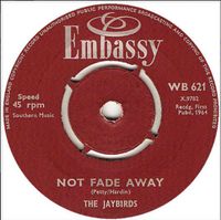 NOT_FADE_AWAY_Cover - THE JAYBIRDS, UK