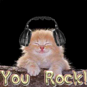 The Rocking Cat - YOU ROCK !