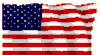USA_FLAG.gif