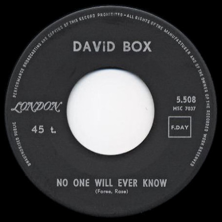 DAVID_BOX_NO_ONE_WILL_EVER_KNOW.jpg