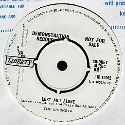 Lost_and_alone_Crickets_demo.jpg