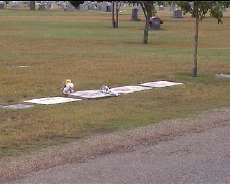 The_Holley_Family_Headstones.jpg